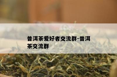 普洱茶爱好者交流群-普洱茶交流群 