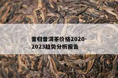 昔归普洱茶价格2020-2023趋势分析报告