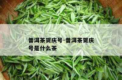 普洱茶贺庆号-普洱茶贺庆号是什么茶