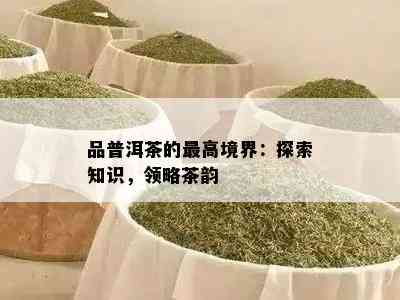 品普洱茶的更高境界：探索知识，领略茶韵