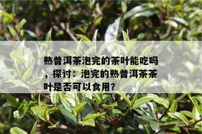 熟普洱茶泡完的茶叶能吃吗，探讨：泡完的熟普洱茶茶叶是不是可以食用？