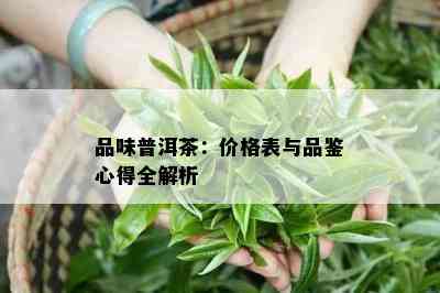 品味普洱茶：价格表与品鉴心得全解析