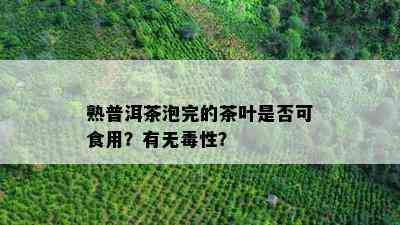 熟普洱茶泡完的茶叶是不是可食用？有无性？