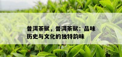 普洱茶赋，普洱茶赋：品味历史与文化的特别韵味