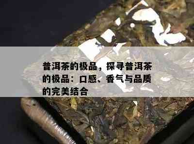 普洱茶的极品，探寻普洱茶的极品：口感、香气与品质的完美结合