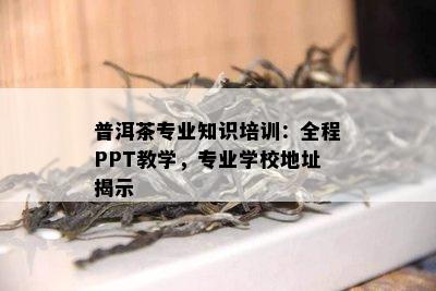 普洱茶专业知识培训：全程PPT教学，专业学校地址揭示