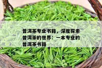 普洱茶专业书籍，深度探索普洱茶的世界：一本专业的普洱茶书籍