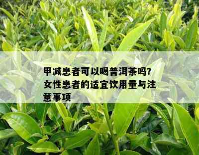 甲减患者可以喝普洱茶吗？女性患者的适宜饮用量与注意事项