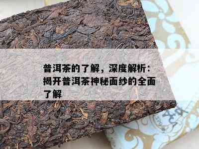 普洱茶的了解，深度解析：揭开普洱茶神秘面纱的全面了解