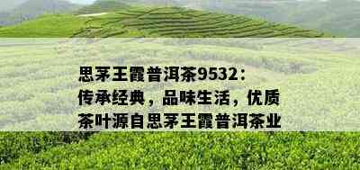 思茅王霞普洱茶9532：传承经典，品味生活，优质茶叶源自思茅王霞普洱茶业