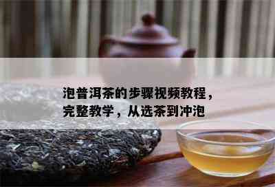 泡普洱茶的步骤视频教程，完整教学，从选茶到冲泡