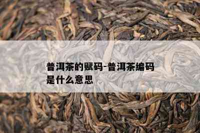 普洱茶的赋码-普洱茶编码是什么意思