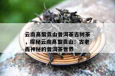 云南高黎贡山普洱茶古树茶，探秘云南高黎贡山：古老而神秘的普洱茶世界