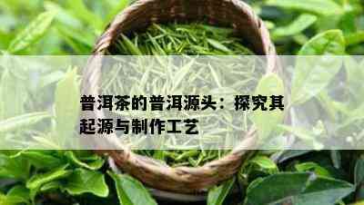 普洱茶的普洱源头：探究其起源与制作工艺