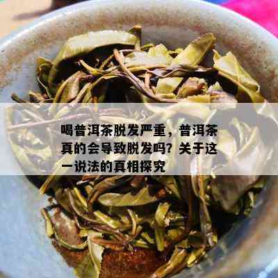 喝普洱茶脱发严重，普洱茶真的会导致脱发吗？关于这一说法的真相探究