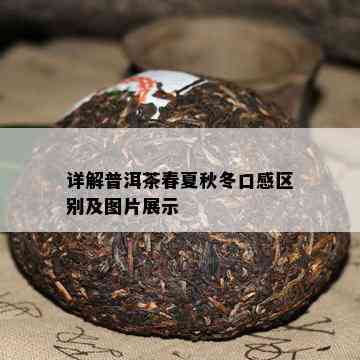 详解普洱茶春夏秋冬口感区别及图片展示