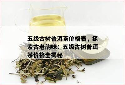 五级古树普洱茶价格表，探索古老韵味：五级古树普洱茶价格全揭秘