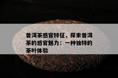 普洱茶感官特征，探索普洱茶的感官魅力：一种独特的茶叶体验