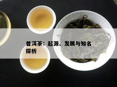 普洱茶：起源、发展与知名探析