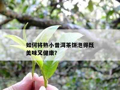 怎样将熟小普洱茶饼泡得既美味又健康？