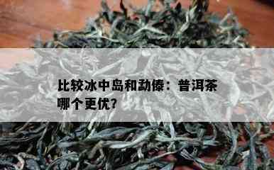 比较冰中岛和勐傣：普洱茶哪个更优？