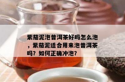 紫茄泥泡普洱茶好吗怎么泡，紫茄泥适合用来泡普洱茶吗？如何正确冲泡？