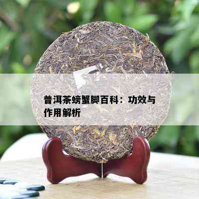 普洱茶螃蟹脚百科：功效与作用解析