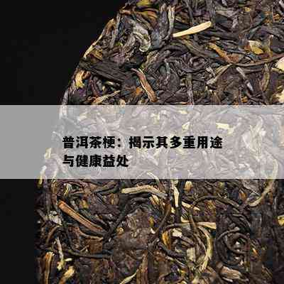 普洱茶梗：揭示其多重用途与健康益处