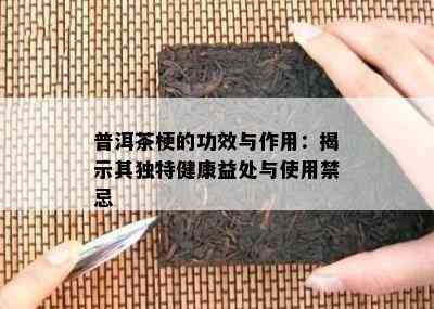 普洱茶梗的功效与作用：揭示其特别健康益处与采用禁忌