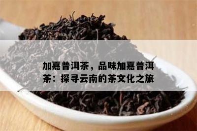 加嘉普洱茶，品味加嘉普洱茶：探寻云南的茶文化之旅