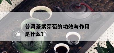 普洱茶紫芽苞的功效与作用是什么？