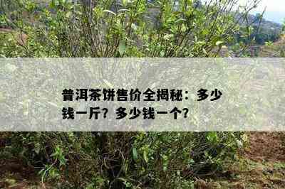 普洱茶饼售价全揭秘：多少钱一斤？多少钱一个？