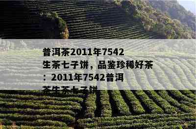 普洱茶2011年7542生茶七子饼，品鉴珍稀好茶：2011年7542普洱茶生茶七子饼