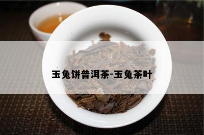 玉兔饼普洱茶-玉兔茶叶