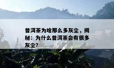 普洱茶为啥那么多灰尘，揭秘：为什么普洱茶会有很多灰尘？