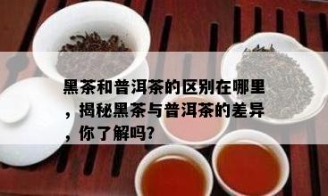 黑茶和普洱茶的区别在哪里，揭秘黑茶与普洱茶的差异，你熟悉吗？