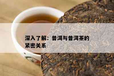 深入熟悉：普洱与普洱茶的紧密关系