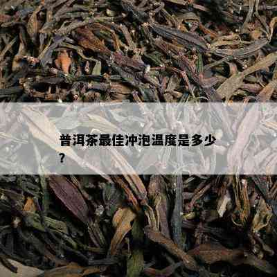 普洱茶更佳冲泡温度是多少？