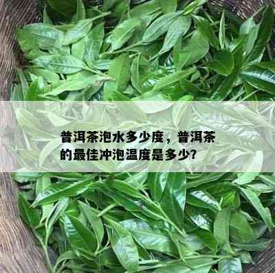 普洱茶泡水多少度，普洱茶的更佳冲泡温度是多少？