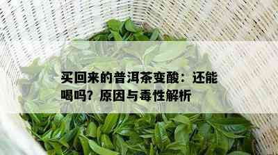 买回来的普洱茶变酸：还能喝吗？起因与性解析