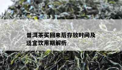 普洱茶买回来后存放时间及适宜饮用期解析