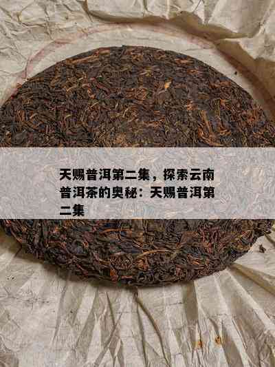 天赐普洱第二集，探索云南普洱茶的奥秘：天赐普洱第二集