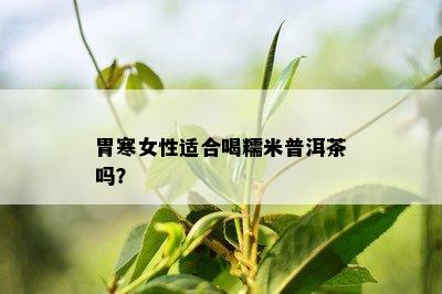 胃寒女性适合喝糯米普洱茶吗？