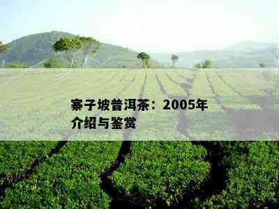 寨子坡普洱茶：2005年介绍与鉴赏