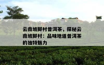 云南坡脚村普洱茶，探秘云南坡脚村：品味地道普洱茶的特别魅力