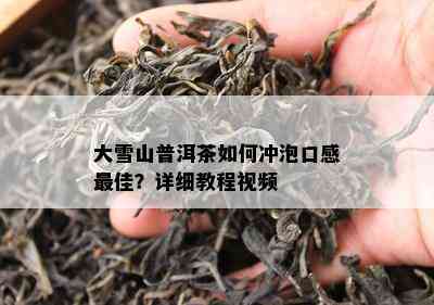 大雪山普洱茶怎样冲泡口感更佳？详细教程视频