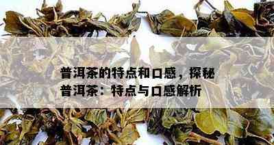 普洱茶的特点和口感，探秘普洱茶：特点与口感解析