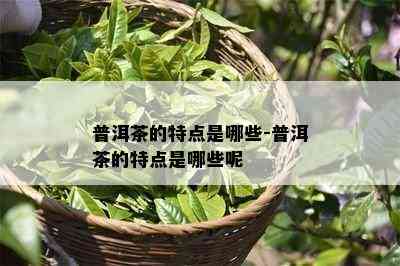 普洱茶的特点是哪些-普洱茶的特点是哪些呢