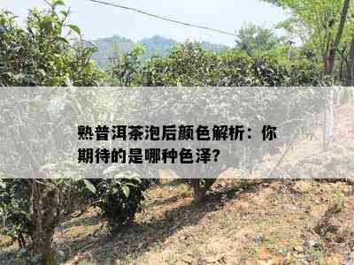 熟普洱茶泡后颜色解析：你期待的是哪种色泽?