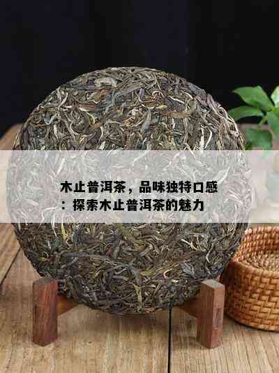 木止普洱茶，品味独特口感：探索木止普洱茶的魅力